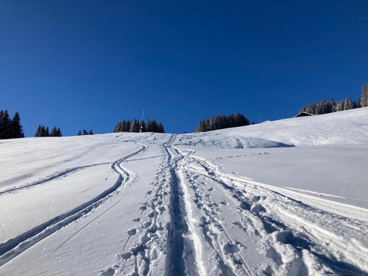 サン・ジェルヴェ・レ・バンMarie Mont Blanc Vue Mont Blancアパートメント エクステリア 写真