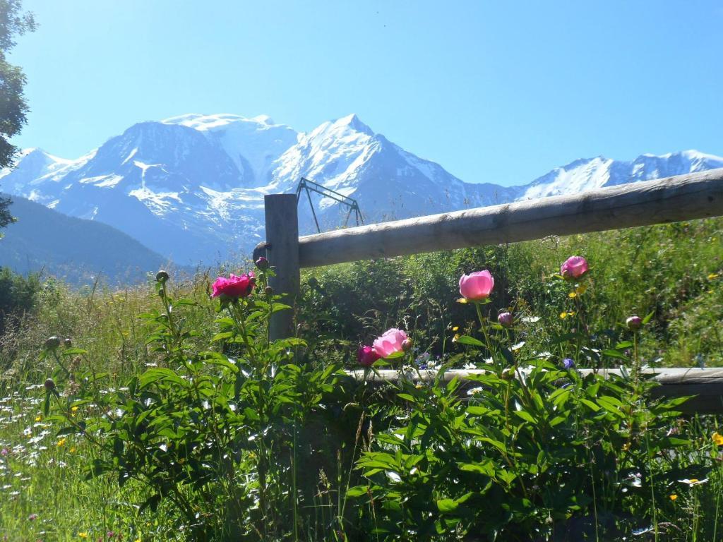 サン・ジェルヴェ・レ・バンMarie Mont Blanc Vue Mont Blancアパートメント エクステリア 写真